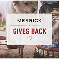 Merrick Power Bites Real Salmon Dog Treats - BESTMASCOTA.COM