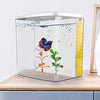 Freesea tanque de peces Betta de 1,4 galones con luz LED y bomba de filtro - BESTMASCOTA.COM