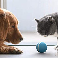 Pelota de mimbre de animal, 100% automática e interactiva para mantener a tus perros y gatos a la compañía todo el día, la alegría de tu mascota cuando estás solo en casa. - BESTMASCOTA.COM