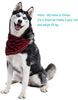 TRAVEL BUS Dog Bandana- 5pcs Washable Dog Bandanas Square Plaid Printing Dog Kerchief Set Scarf Accessories for Small to Large Dogs Cats Pets Reversible - BESTMASCOTA.COM