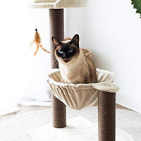 Catry, hamaca para árbol de gatos con postes de sisal natural y plumas para gatitos - BESTMASCOTA.COM