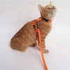 Gizhome - 2 arnés y correa ajustables de nailon para gato, color naranja y azul claro - BESTMASCOTA.COM