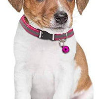 Tondwin - Collar para gato (nailon suave, reflectante, con campana, ajustable, para cachorros de perros pequeños - BESTMASCOTA.COM