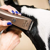 Wahl Bravura Ion de litio Clipper - BESTMASCOTA.COM