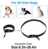 ETPET - Correa para collar de perro para la mayoría de los receptores de entrenamiento electrónico de choque, correa impermeable ajustable y duradera de repuesto para collar de ladrido, valla, mascota, correa de TPU - BESTMASCOTA.COM