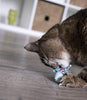 Petlinks Electronic Light Cat Toy - BESTMASCOTA.COM