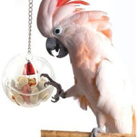 Difunisea Parrot Foraging Systems Foraging Wheel -Hapaus for Parrot Macaw African Greys Budgies Parakeet Cockatiel Conure Cage Toy - BESTMASCOTA.COM