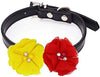 Collares de flores para mascotas, accesorios para gatos, - BESTMASCOTA.COM