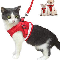 Arnés de gato y correa a prueba de escape y arnés para perro ajustable de malla suave para caminar con correa reflectante para mascotas, gatito, cachorro y conejo - BESTMASCOTA.COM