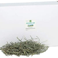 Small Pet Select Orchard Grass Hay Pet Food - BESTMASCOTA.COM