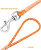 TagME - Correa de entrenamiento para perros pequeños, correa flotante de color naranja, 1/4 pulgadas por 15/30/50 pies - BESTMASCOTA.COM