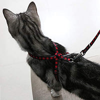 PUPTECK Arnés para gato con correa – Correa suave ajustable con arnés estilo figura 8 pulgadas, adorable y especial - BESTMASCOTA.COM