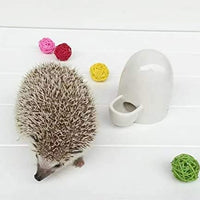 Dahey Alimentador de agua potable Cerámica Botella de agua de agua de agua dulce automático pequeñas mascotas para hámster erizo, chinchilla hurón pequeño cobayo, blanco, 8 onzas - BESTMASCOTA.COM