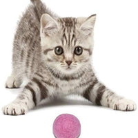 Comfy Pet Supplies - Juego de 6 bolas de fieltro de lana 100% para gatos y gatitos, hechas a mano, coloridas bolas de lana ecológicas para gatos - BESTMASCOTA.COM