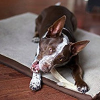 Astas de ciervo para perros, premium, grado A, astas de ciervo masticables para perro, juguete de larga duración para perro. De EE. UU. - BESTMASCOTA.COM