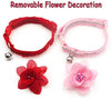 azuza Collar para gato con campana, 2 collares con purpurina para gato con accesorios de flores, rojo y rosa romántico - BESTMASCOTA.COM
