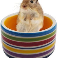 OMEM - Cuenco de cerámica para hámster para evitar que se muevan y masticen maravillosos platos para pequeños roedores, hámsteres, ratones, cobayas, erizo y otros animales pequeños - BESTMASCOTA.COM