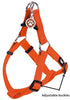 Arnés ajustable Pupteck para perro, medida básica de cachorro, de nailon, chaleco para pasear en exteriores con etiqueta de identificación - BESTMASCOTA.COM