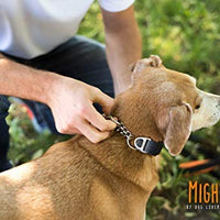 Collar de entrenamiento Mighty Paw, collar Martingale, calidad premium, limitado, collar cincha, collar reflectante para perros - BESTMASCOTA.COM