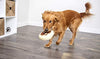 TrustyPup Donuts and Beer Durable Plush Dog Toys with Squeakers - BESTMASCOTA.COM