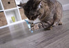 Petlinks Electronic Light Cat Toy - BESTMASCOTA.COM