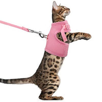 The Creativehome Arnés para cachorro de gato con correa, a prueba de escape, ajustable, transpirable, suave malla de aire, arnés para caminar al aire libre - BESTMASCOTA.COM