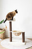 Catry, hamaca para árbol de gatos con postes de sisal natural y plumas para gatitos - BESTMASCOTA.COM