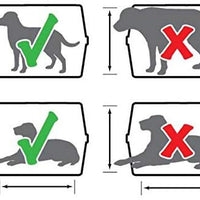 Petmate - Caseta de plástico para mascotas con puerta cromada - BESTMASCOTA.COM