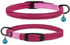 Bronzedog - Collar de piel para gato, con cascabel, color negro, azul, rosa, verde, amarillo y gris - BESTMASCOTA.COM