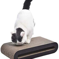 AmazonBasics - Tumbona rascadora para gatos - BESTMASCOTA.COM