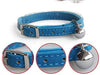 Yangbaobao - Collar ajustable de terciopelo suave para gato, con campanas, 11 pulgadas para perros y gatos pequeños - BESTMASCOTA.COM