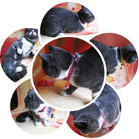 Thain - Collar para gato, diseño de pajarita - BESTMASCOTA.COM