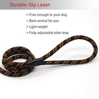 Correa Coolrunner collar de entrenamiento para mascota de Cesar el encantador de perros - BESTMASCOTA.COM