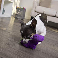 goDog Just for Me Bruto with Chew Guard Technology Plush Dog Toy, Purple - BESTMASCOTA.COM