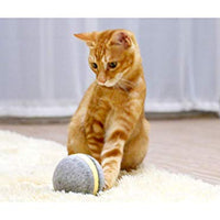 Pelota de mimbre de animal, 100% automática e interactiva para mantener a tus perros y gatos a la compañía todo el día, la alegría de tu mascota cuando estás solo en casa. - BESTMASCOTA.COM