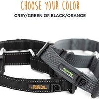Collar de entrenamiento de nailon Mighty Paw Martingale. Nuestro collar de zapatillas de entrenamiento aprobado limitado. Collar de cincha modificado para una fuerza controlada para un entrenamiento óptimo. Costuras reflectantes para mantener a tu perro s - BESTMASCOTA.COM