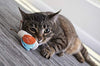 Petlinks Electronic Light Cat Toy - BESTMASCOTA.COM