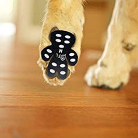 Protectores antideslizantes para patas de perro, 24 unidades, autoadhesivos, desechables, para uso en interiores - BESTMASCOTA.COM
