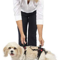 Arnés para perro, soporte de elevación y ayuda, SOLVIT Carelift - BESTMASCOTA.COM