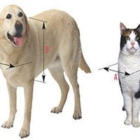 Ideal Pet Products Puerta de aluminio para mascotas con marco telescópico, color blanco - BESTMASCOTA.COM