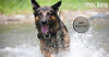 Mockins - Collares de entrenamiento para perros - BESTMASCOTA.COM