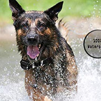 Mockins - Collares de entrenamiento para perros - BESTMASCOTA.COM