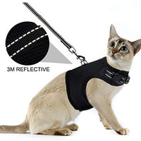 PUPTECK Cat Leash Reflective Escape Proof Harness - Black Soft Mesh Adjustable - Best for Walking - BESTMASCOTA.COM