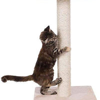 Trixie Pet Espejo Scratching Post - BESTMASCOTA.COM