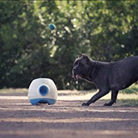 iFetch Interactive Ball Launchers for Dogs - BESTMASCOTA.COM