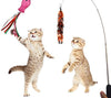 Juego de juguetes para gatos PETOY, juguete para gatos retráctil de pared, pez gato, juguete interactivo de plumas de gato, bolas de crincle de Mylar, dos ratones de algodón, dos ratones esponjosos - BESTMASCOTA.COM