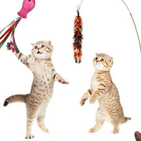 Juego de juguetes para gatos PETOY, juguete para gatos retráctil de pared, pez gato, juguete interactivo de plumas de gato, bolas de crincle de Mylar, dos ratones de algodón, dos ratones esponjosos - BESTMASCOTA.COM