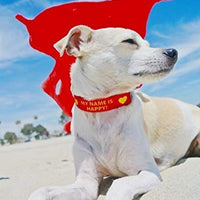 Collar de perro personalizado con texto y arte de alta definición, una alternativa de collar de perro bordado – Fabricado en los Estados Unidos – Disponible en 7 tamaños y 21 colores - BESTMASCOTA.COM