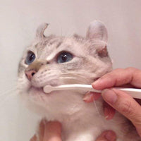 cepillo para polvo de dientes para gatos fácil de usar fabricado en Japón Kenko cuidado por Mind Up - BESTMASCOTA.COM