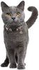 Cholegift Kitty - Collar de cuadros con diseño de gatos, cuadros clásicos, cuello ajustable - BESTMASCOTA.COM